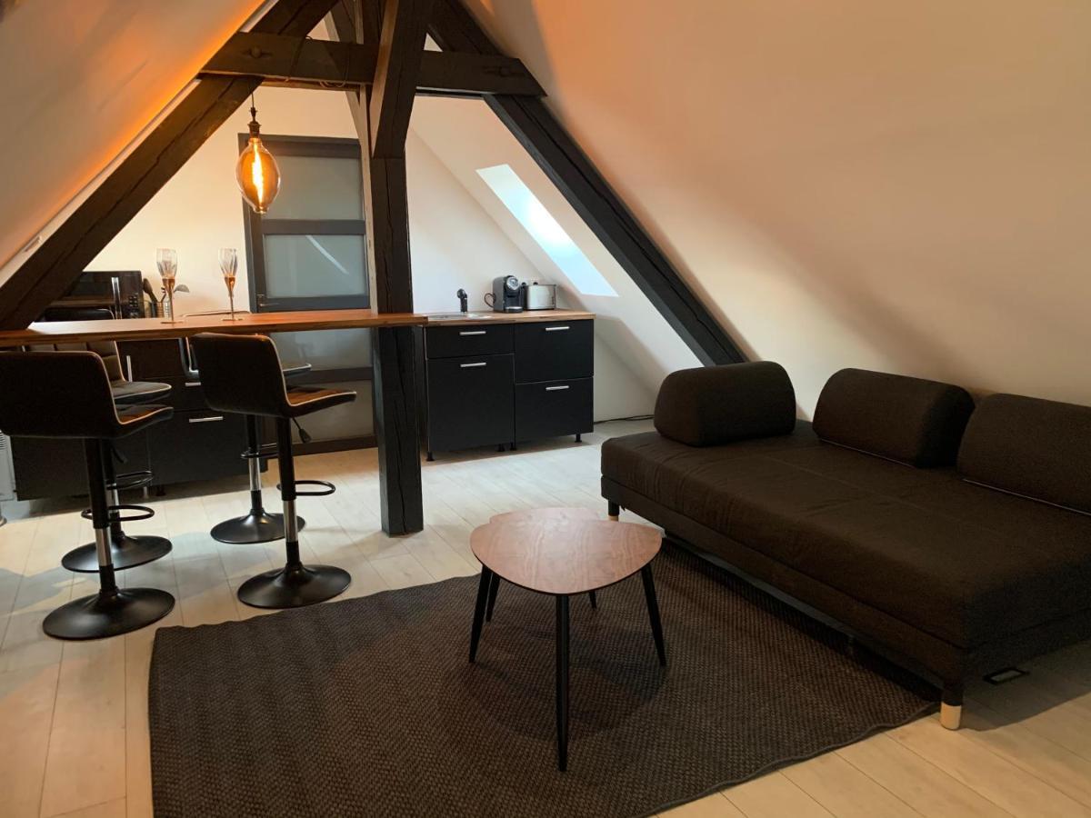 Ferienwohnung Cocoon Loft Colmar Exterior foto