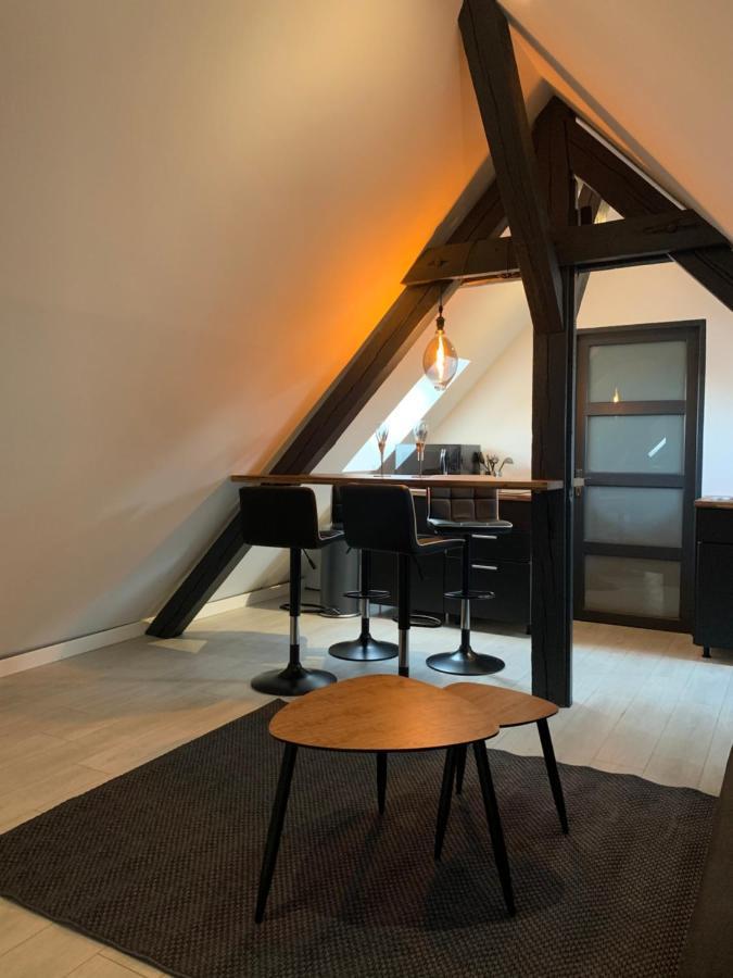 Ferienwohnung Cocoon Loft Colmar Exterior foto