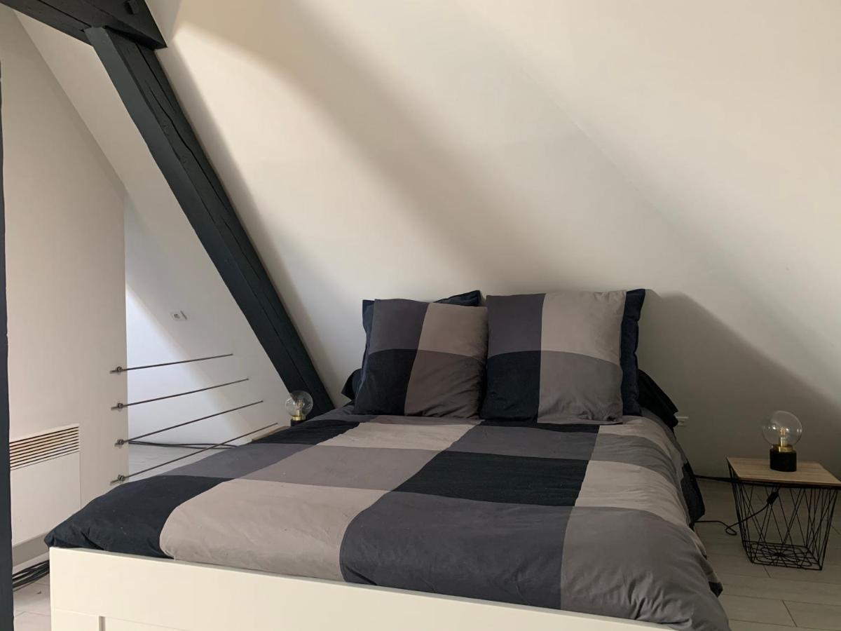 Ferienwohnung Cocoon Loft Colmar Exterior foto